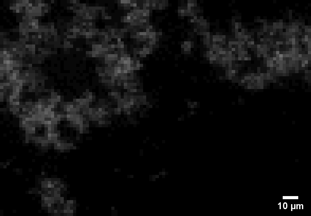 Image Crystallization