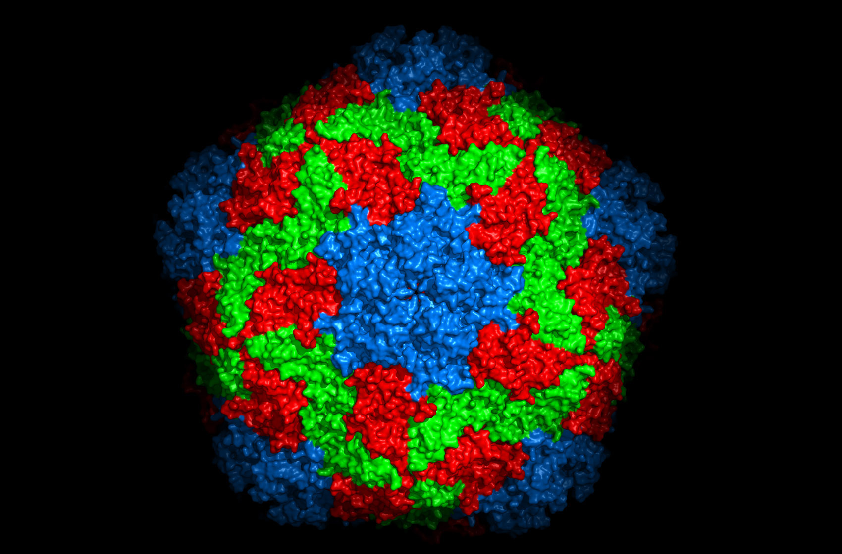Revealed The Surprising Origins Of Hepatitis A Diamond Light Source