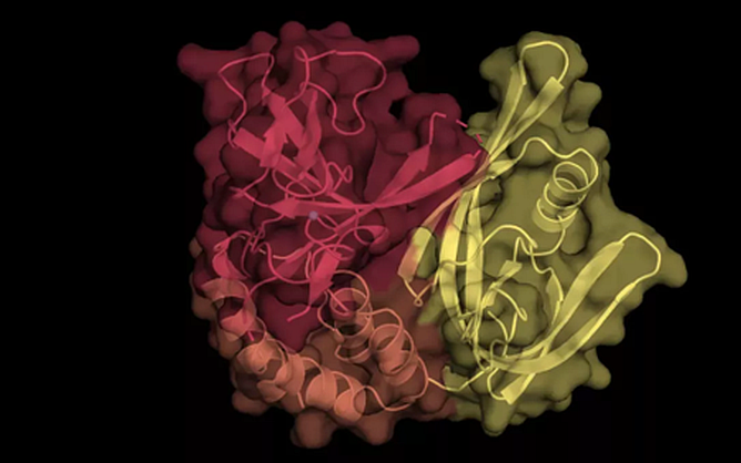 Targeted Destruction of Disease-Related Proteins 