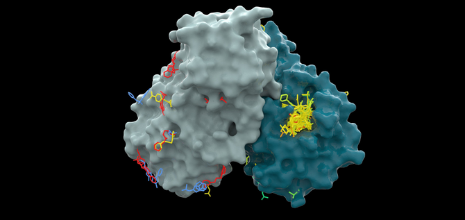 Improving the UK's pandemic preparedness in this new MoU with the University of Oxford 
