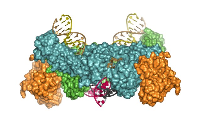 hiv virus structure animation