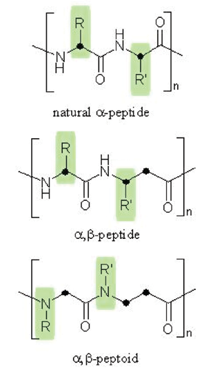 Figure 1: Peptide and peptoid architectures.