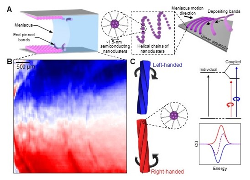 (A) Perspective view of achiral CdS nanocluster bands flowing towards the meniscus and depositing side-by-side on the top and bottom glass plates. As the solution dries, and the meniscus recedes, twisting the achiral nanoclusters into a chiral structure. (B) g-factor map of one of the meniscus-coated nanocluster films at a wavelength of 332nm at 50µm spatial resolution. C) Cartoon of the left- and right-handed nanoclusters evaporated on the plate.