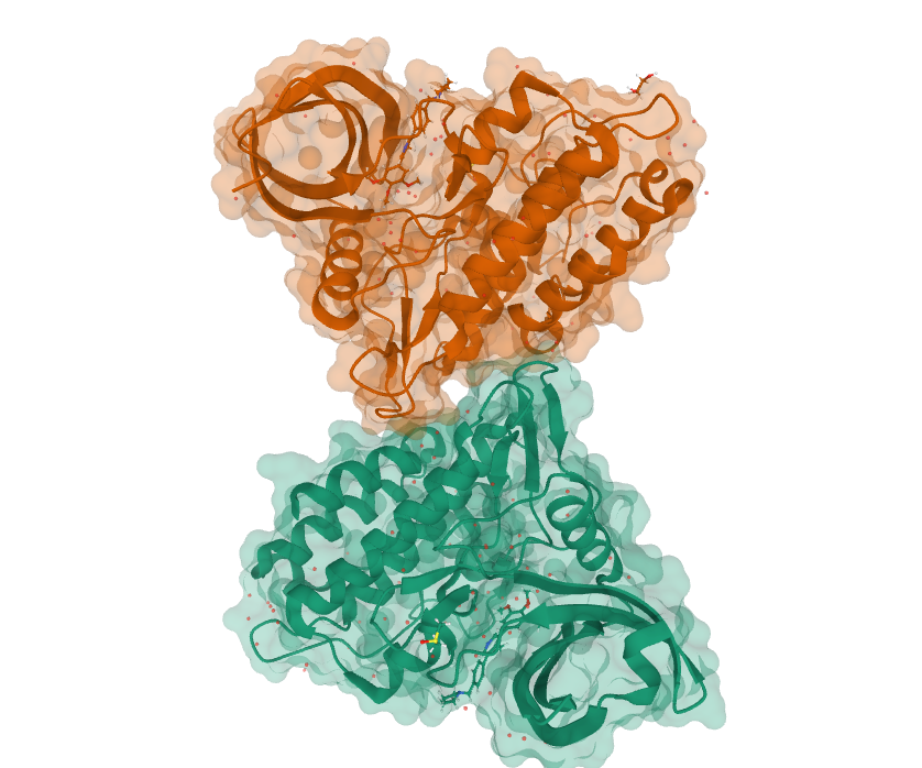 Crystal structure of the ACVR1 (ALK2) kinase in complex with the compound M4K2158. Copyright of Diamond Light Source Ltd.