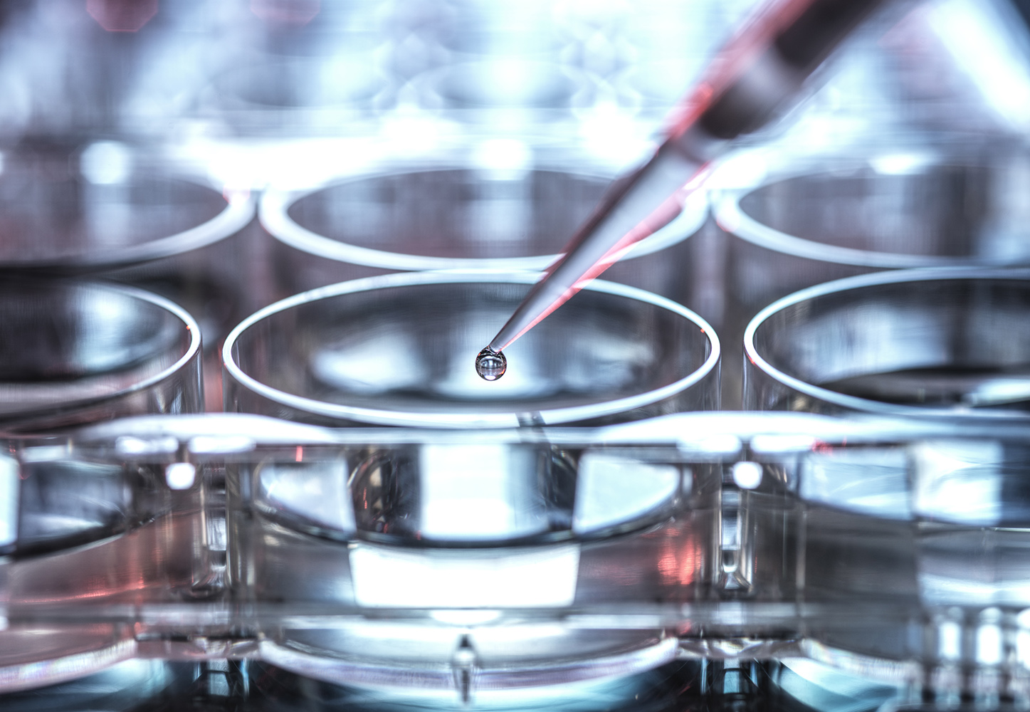 A world inside a droplet. Many advancements in science start with a single drop.