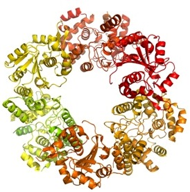 Diamond celebrates 500 protein structures
