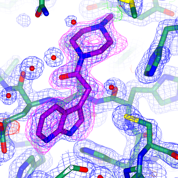 COVID-19 Structure