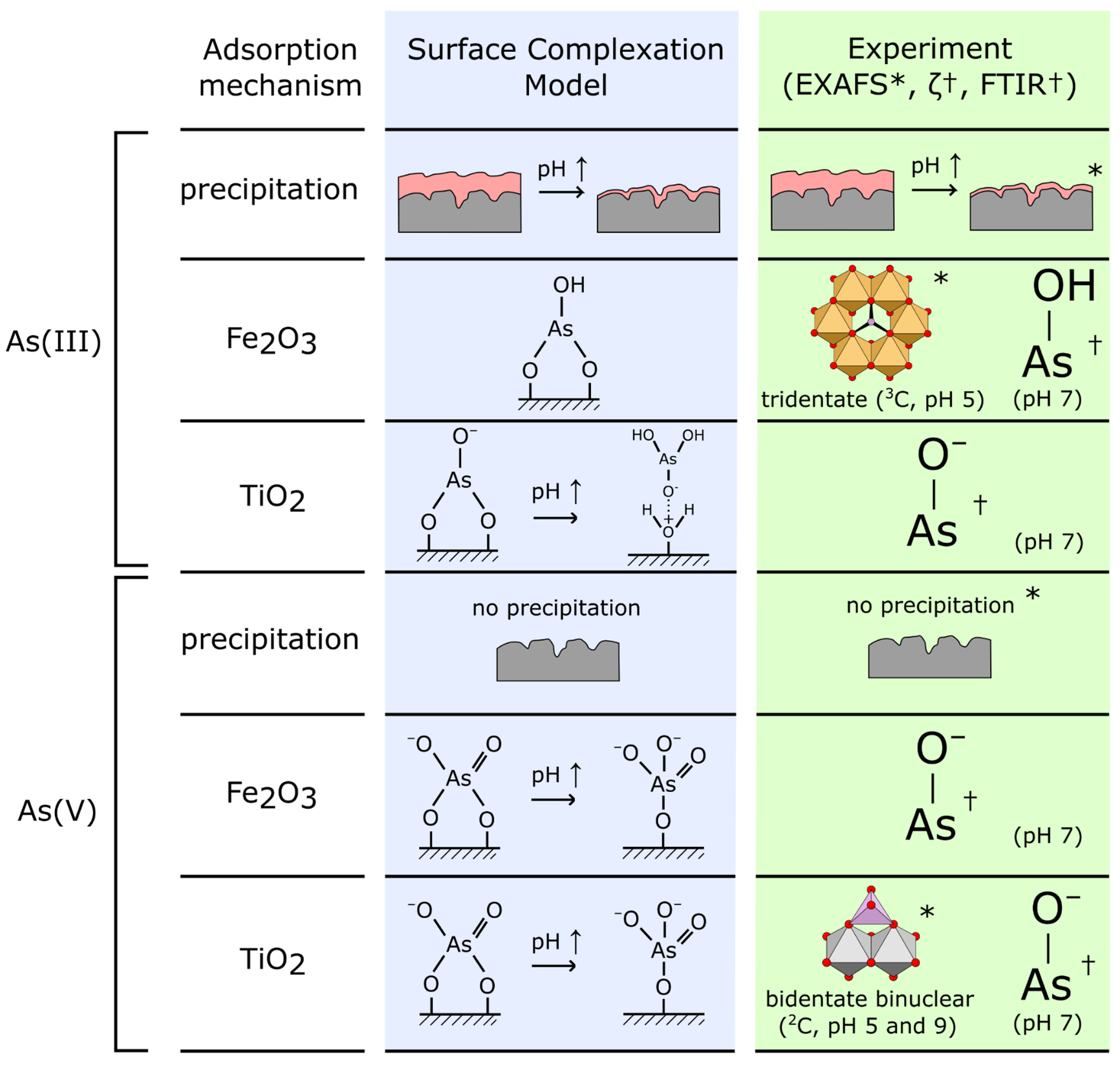 The authors combined spectroscopic data obtained at Diamond Light Source (EXAFS) with FTIR and zeta potential measurements at Imperial College London to develop a picture of the dominant surface complexes formed when arsenic is adsorbed by TiO2/Fe2O3 composite nanomaterials. This was used to evaluate and verify the speciation of adsorbed arsenic predicted by the authors’ previous Surface Complexation Model (SCM), a theoretical model that is able to predict changes in adsorption as a function of environmental conditions. This model had been developed using surface complexes chosen based on data for pure titania and pure iron oxides, with experimental evidence for arsenic speciation on composite TiO2/Fe2O3 not being available prior to the Diamond Lightsource study.<br/>Arrows indicate where the pH is increased from 5 to 9. Asterixes (*) and daggers † indicate evidence gained by EXAFS and FTIR/zeta potential analysis respectively. Image reused from DOI: 10.1016/j.rsurfi.2022.100084 under the CC BY 2.0 license.