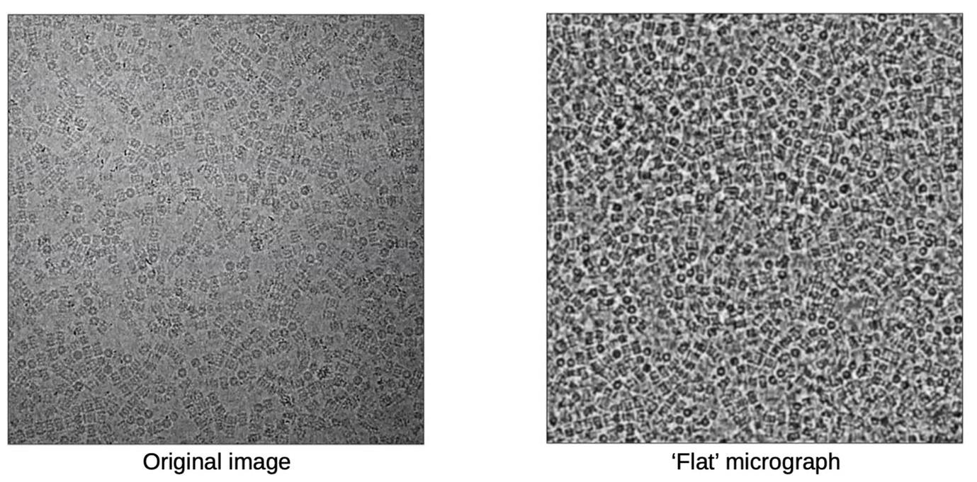 Comparison of the micrographs before and after contrast equalization.  
