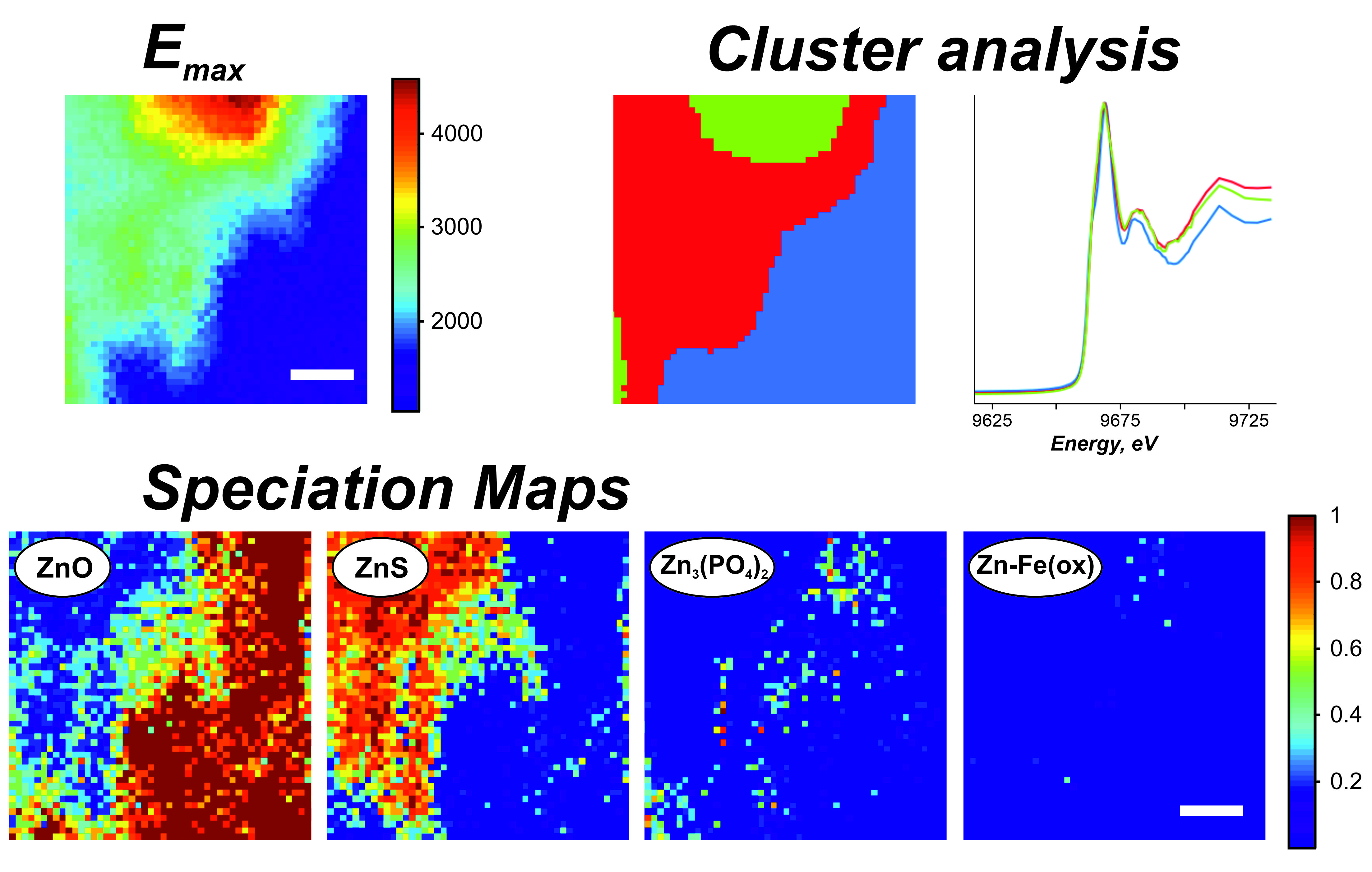 9-Energy X-ray fluorescence microscopy of ZnO nanorods after in-situ 1-hour incubation in a simulated sludge (humic acid 10 mg L-1)