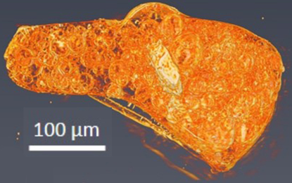 Fukushima particle