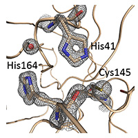 Structure of SARS-CoV-2 Main protease. Representative electron density (2Fo-Fc map contoured at the 2.5  level) from the 1.39 Å structure centered at the active site of the enzyme.