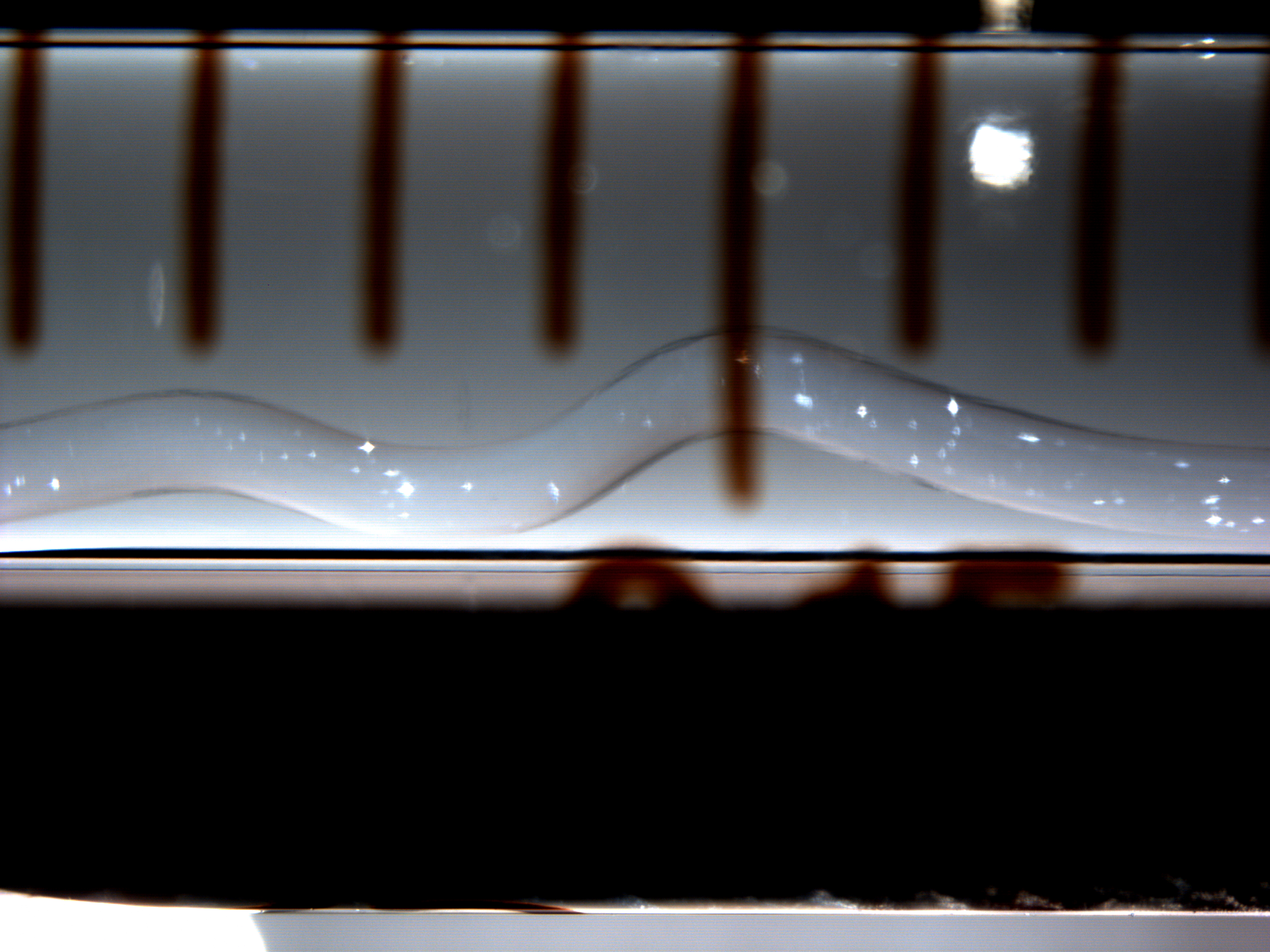 Crystals of E.coli membrane protein shine inside the syringe