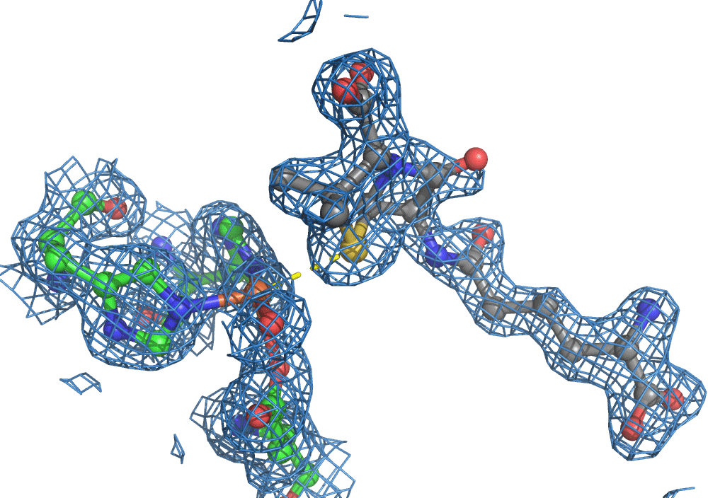 molecular movie