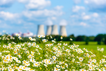 Nuclear power plant