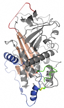 Furthering knowledge of a potentially life-threatening prenatal condition