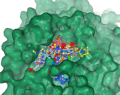 Surface representation of SARS CoV-2 Mpro protein with fragment hits from XChem platform bound in active site (Green)