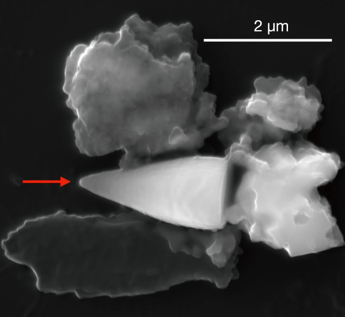Scanning electron microscopy image of the ‘no-stalk’ spearhead giant magnetofossil (red arrow) surrounded by detrital particles. The spearhead-like microfossil is about 2 micrometer in length and has a radius of about 0.5 micrometer at its largest bottom region.