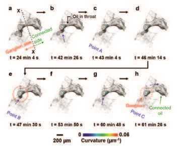 Figure 2: Snap-off during imbibition in a throat between two adjacent pores. Various times during brine injection showing oil progression and trapping in a water-wet Ketton rock sample. The rock and brine are shown semi-transparent and transparent respectively for effective visualisation. The dashed blue arrows indicate the approximate direction of interface migration. Points a-c show the events marked in Fig. 3. Time t = 0 denotes the start of the imbibition process (after acquiring the first tomographic image in imbibition). Time (t) represents the end of each tomographic image acquisition. (Singh et al.5)