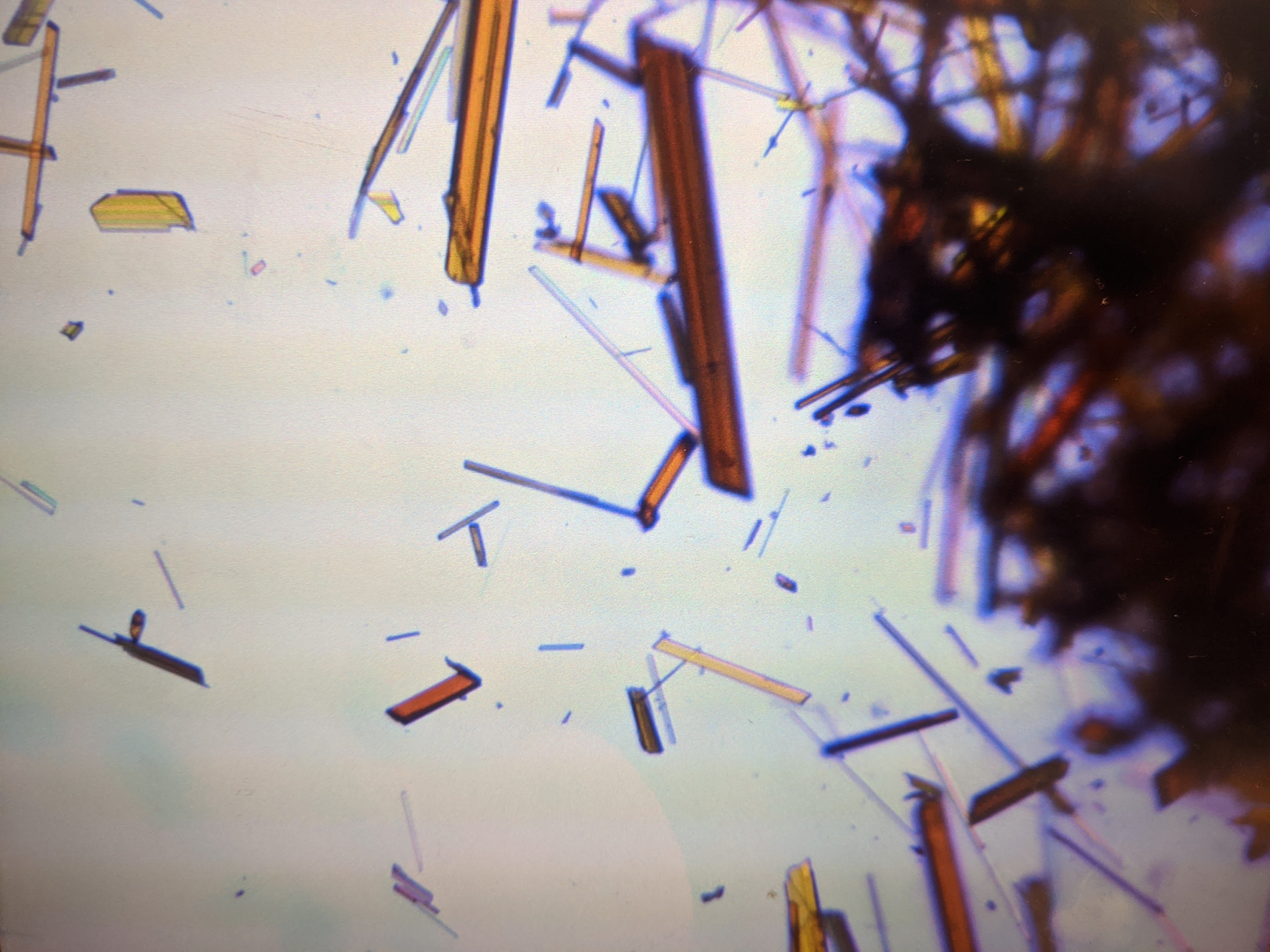 Crystals at beamline I19. Copyright of Diamond Light Source Ltd.