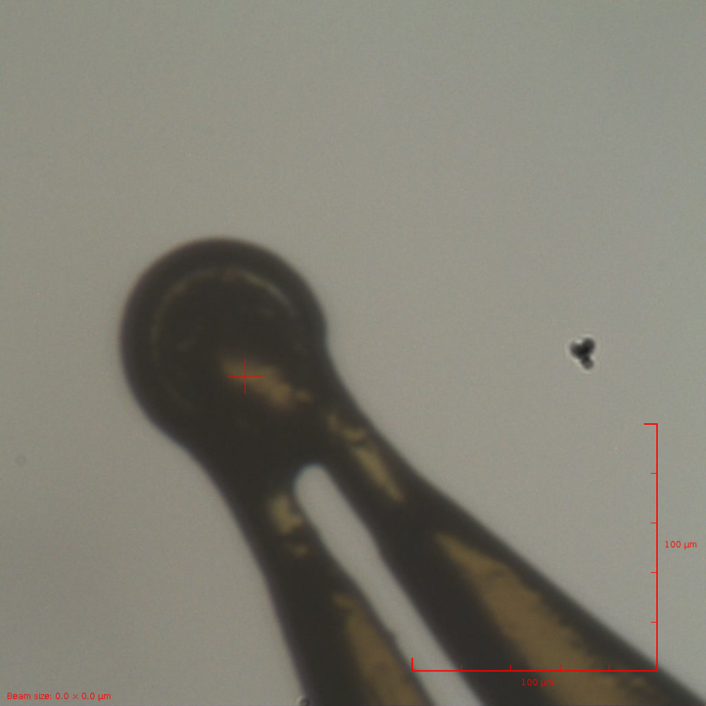 Snapshot opened in ISPyb