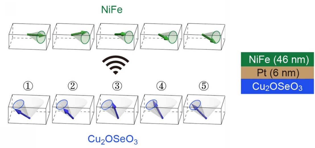 Five snapshots of precession in the Cu2OSeO3 | Pt | NiFe stack. Microwave excitation drives a helimagnon in Cu2OSeO3 that couples wirelessly across Pt and locks the precession of the remote NiFe layer. The lower row shows the conical motion of the helimagnet and the upper row shows the NiFe response, locked in time with a fixed phase offset.
