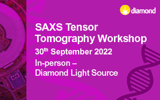 SAXS Tensor Tomography Workshop 