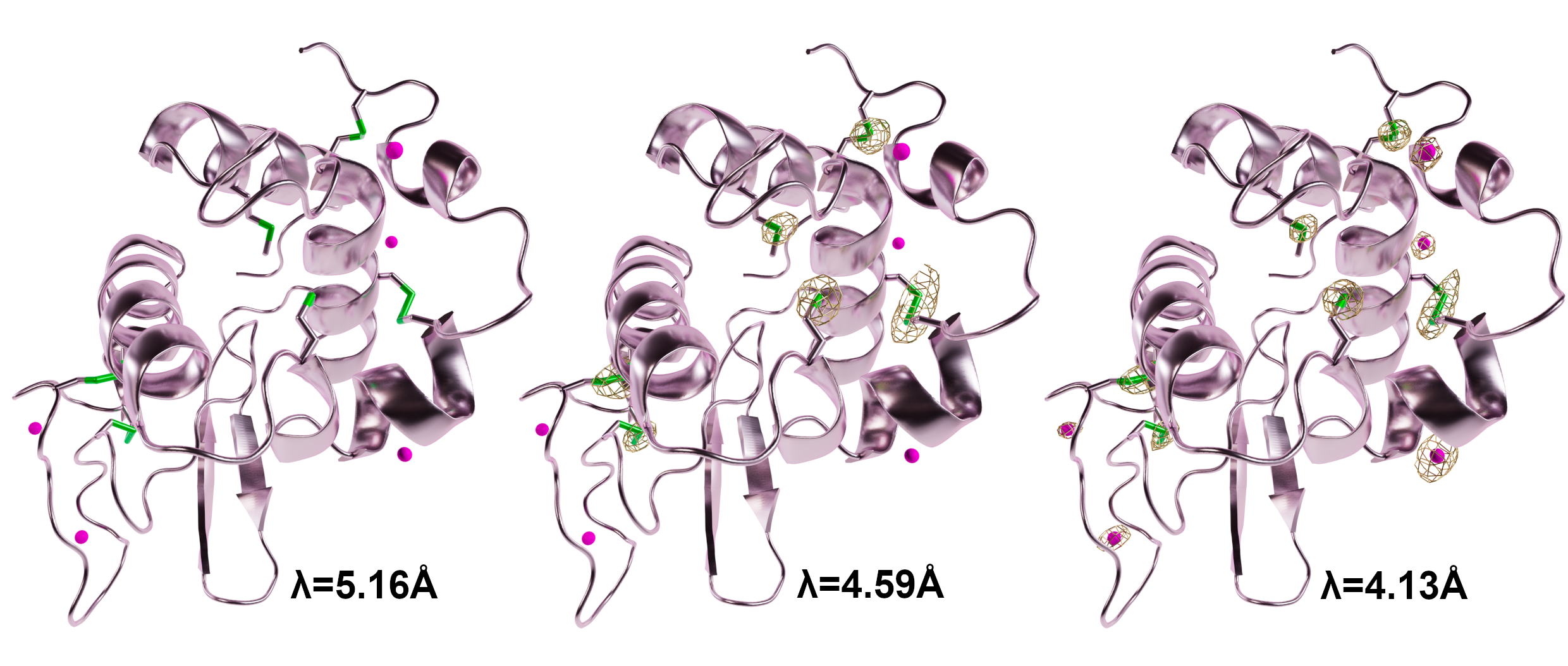 Lysozyme