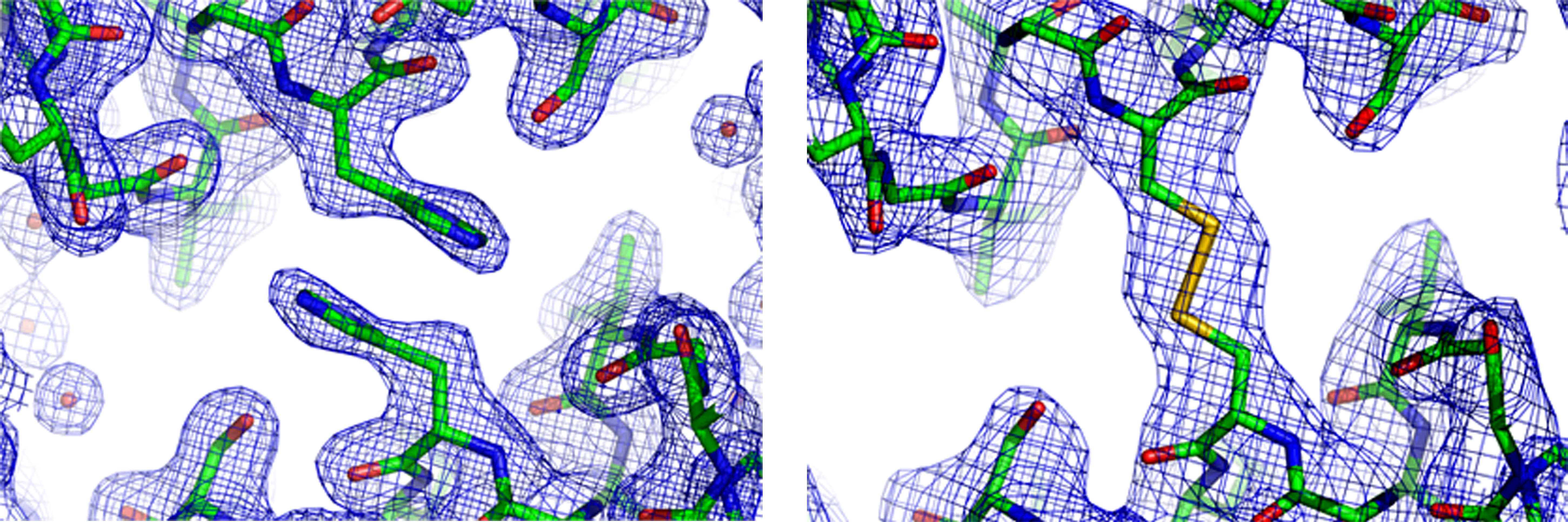 <i>Electron density calculated from the X-ray crystallographic analyses of FMDV serotype A22 ‘empty shells’ shown in the vicinity of the pentamer interface both with and without a modification engineered to ‘fasten’ together the adjacent pentamers.</i>