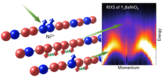 Fig. 1: Ni L-edge RIXS spectrum from integer spin chain material Y2BaNiO5. The bright low energy curve is from single spin flip Haldane spin propagation as seen in neutron scattering measurements. The less intense higher energy curve corresponds to the discovered double spin flip propagation using RIXS.