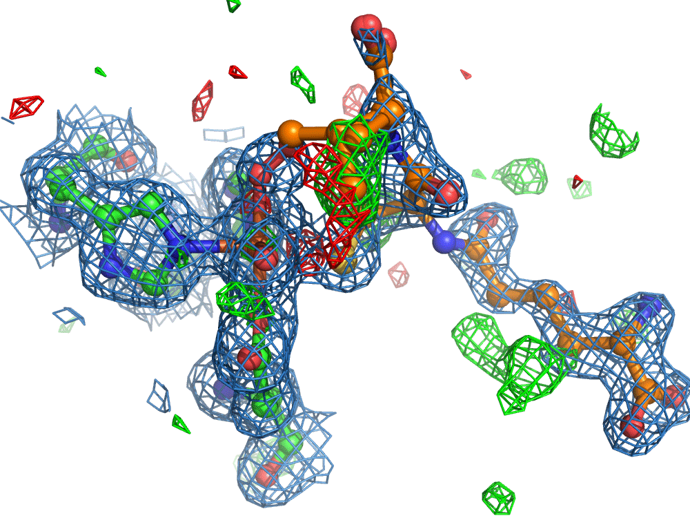 molecular movie