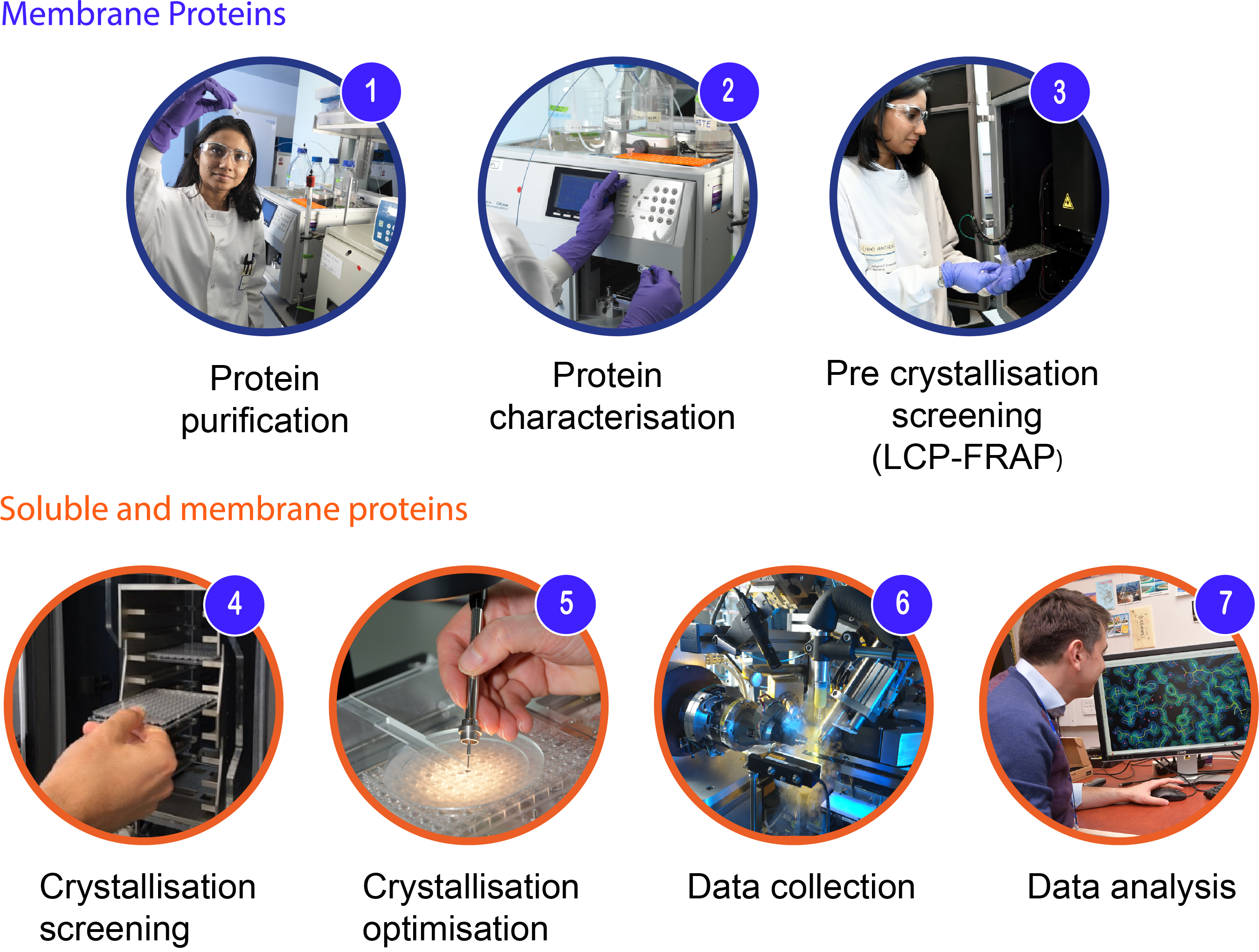 Protein characterisation process