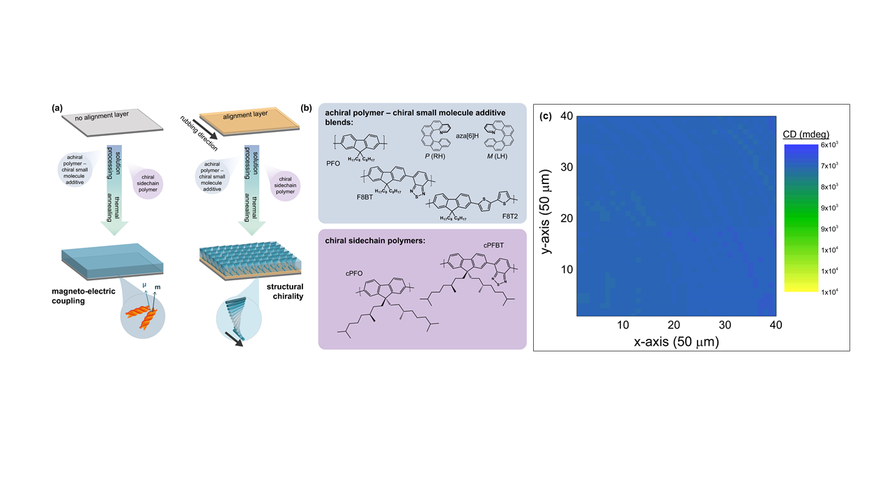 Figure 1 from published paper