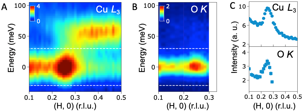 Fig.1 CDWs observed in Bi2201. A, CDW at the Cu L3-edge. B, CDW at the O K-edge. C, The CDW intensity acquired at the Cu L3- and O K- edges. 