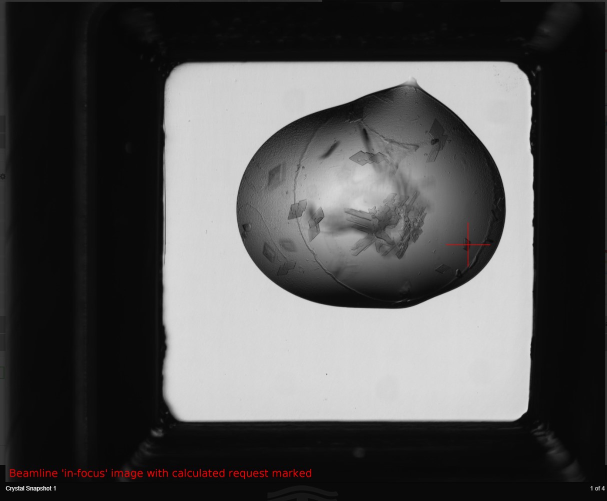 beamline marked