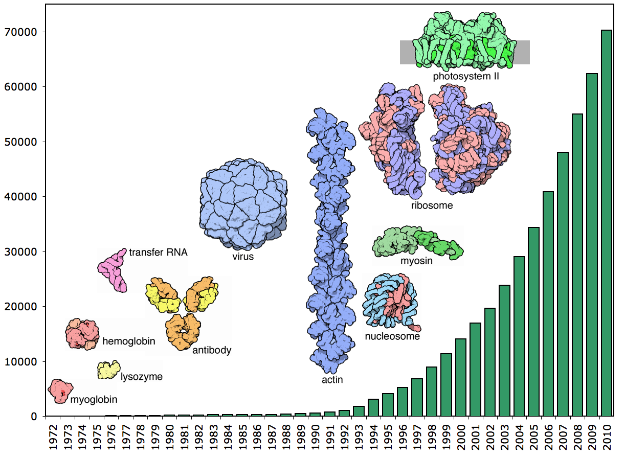 chart showing increasing structures