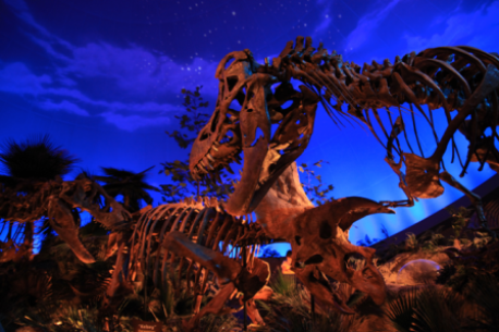 Dinosaur CSI