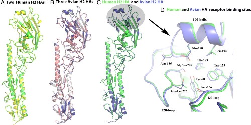 /dms/Images/beamlines/MX/highlights/F1.jpg