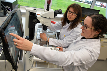 ailsa in lab