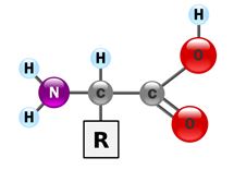 Figure B