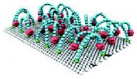 Molecular adsorption and self-assembly. Picture credit: Frank Schreiber