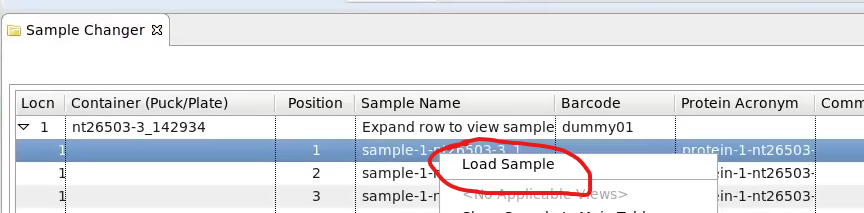 load sample from sample changer right click