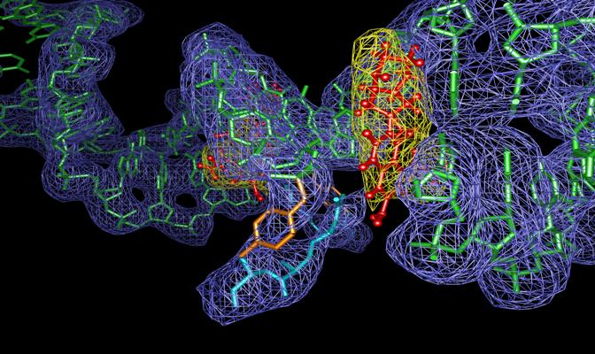 Electron density map