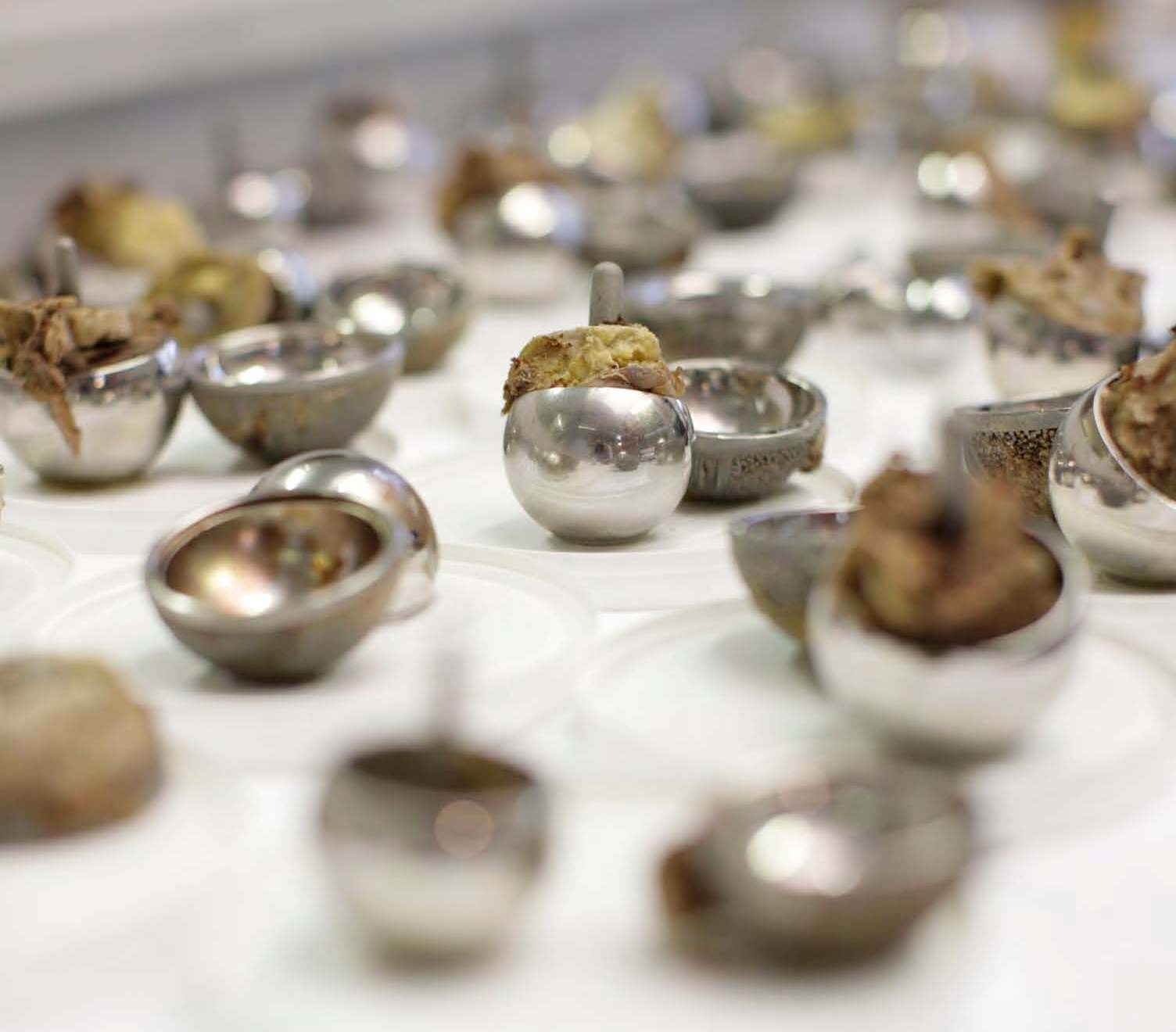 A sample of Metal on Metal hip replacements.