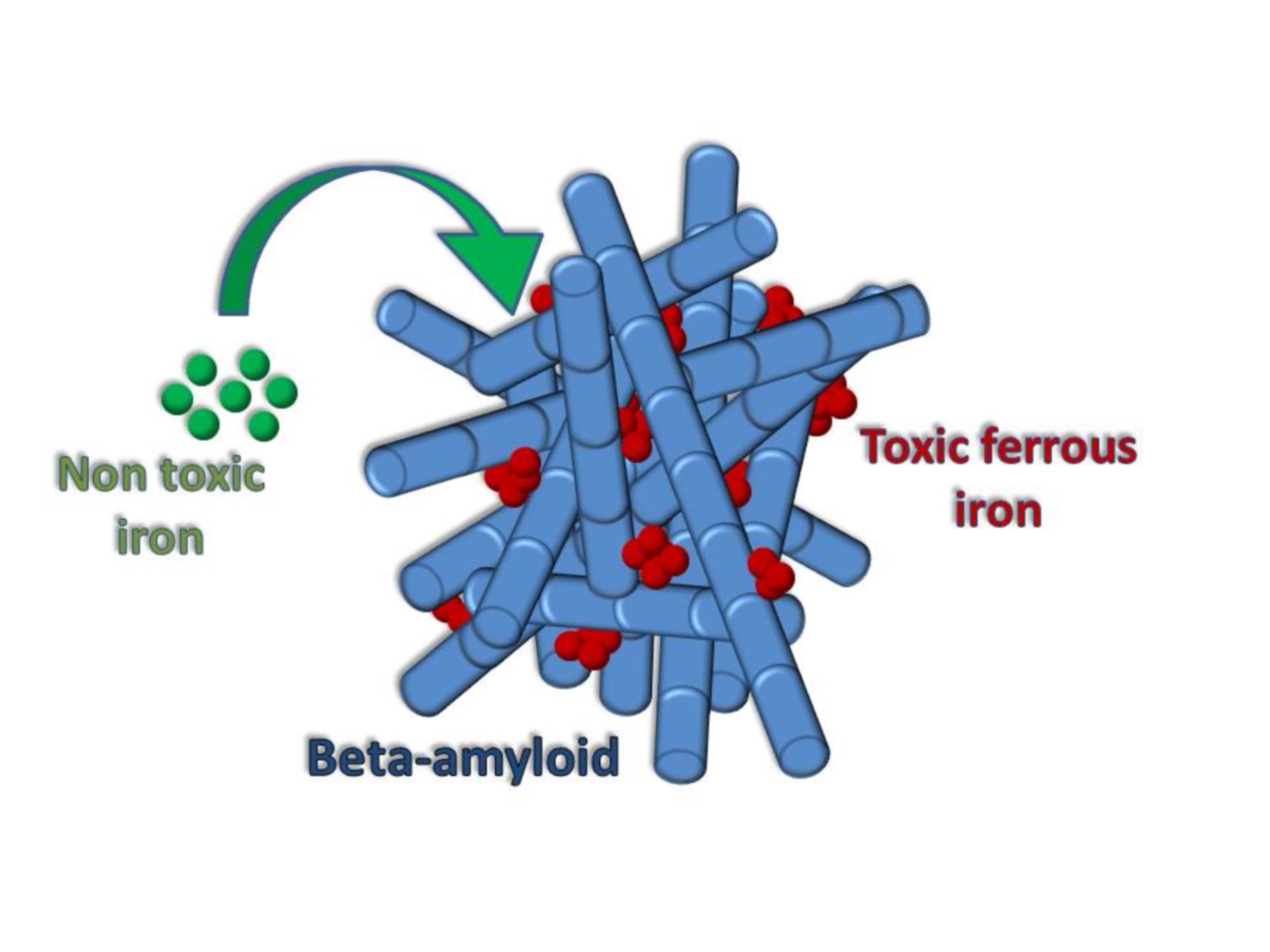 Beta-amyloid induced toxic iron formation